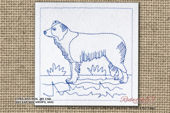 Border Collie Dog Design