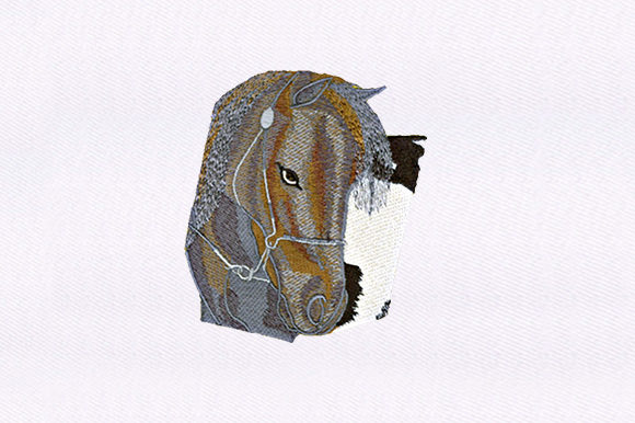Gazing Horse