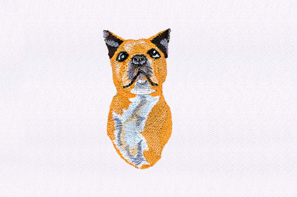 Smug Dog Design